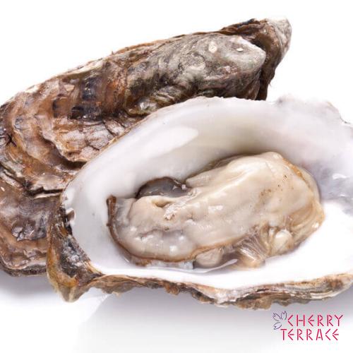 かき E Gohan かき E Gohan