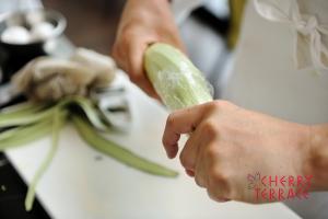 なすのラウデミオがけ